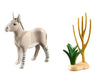 Playmobil Wiltopia - African Donkey (71289)