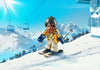 Playmobil - Cool Snowblader - 9284-Bunyip Toys