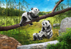 Playmobil - Panda Family - 70353-Bunyip Toys