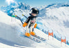 Playmobil - Race Skier - 9288-Bunyip Toys